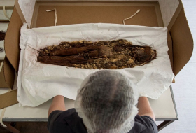 15 des momies les plus vieilles du monde ont passé un scanner